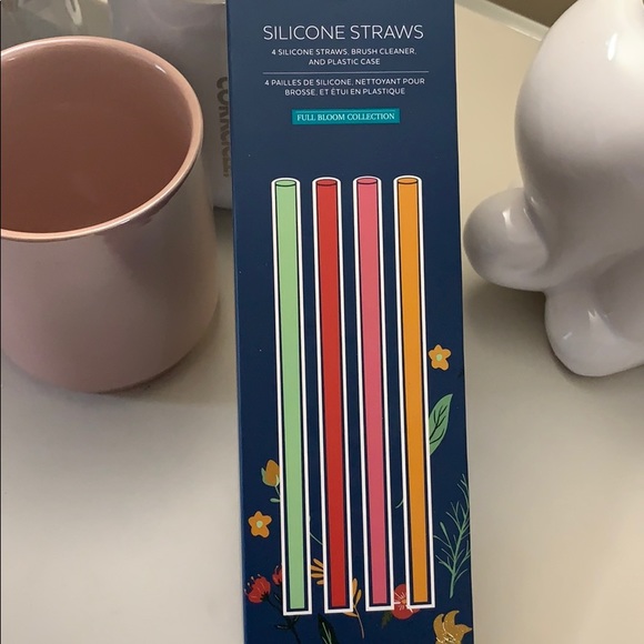 NWT Chic & Silicone Straws - Picture 1 of 2